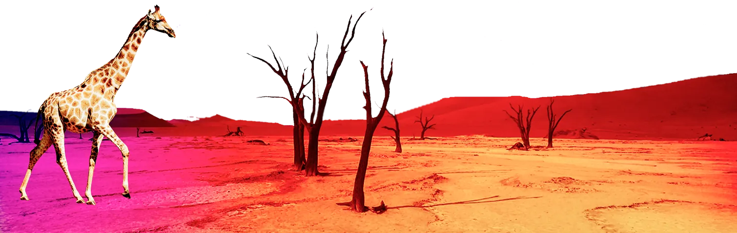 Decorative landscape